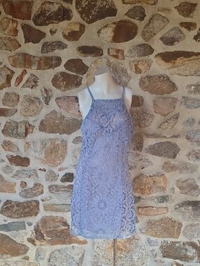 Francesca's Collections Periwinkle Lace Mini Dress